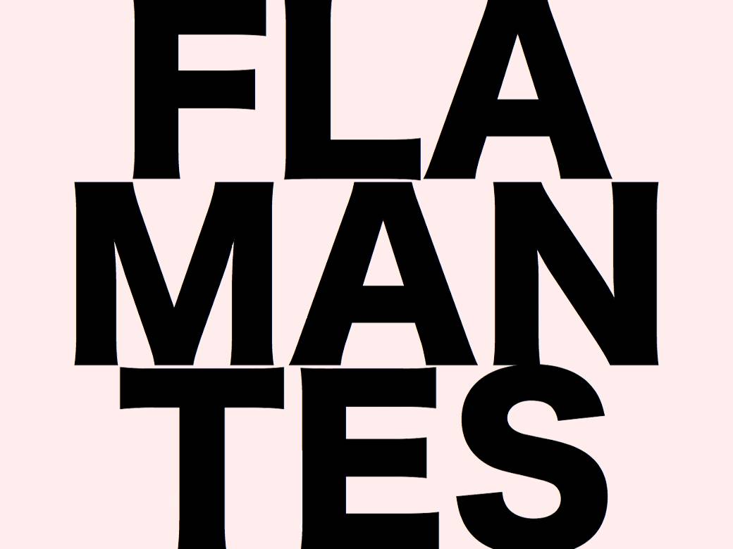 Flamantes libro de artistas