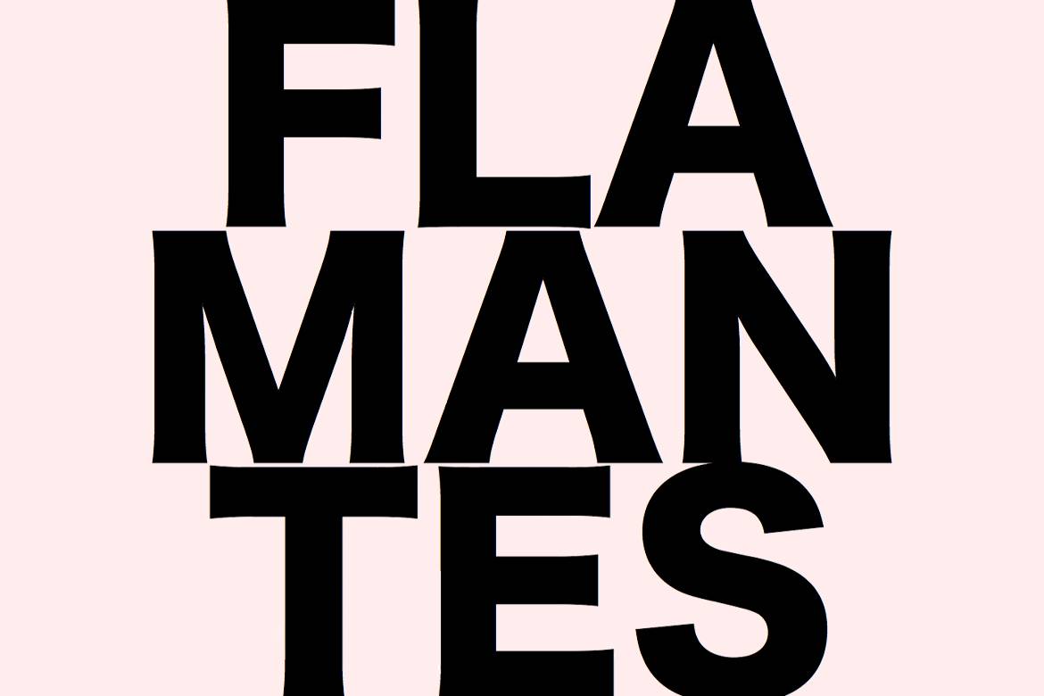 Flamantes libro de artistas