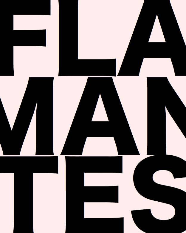 Flamantes libro de artistas